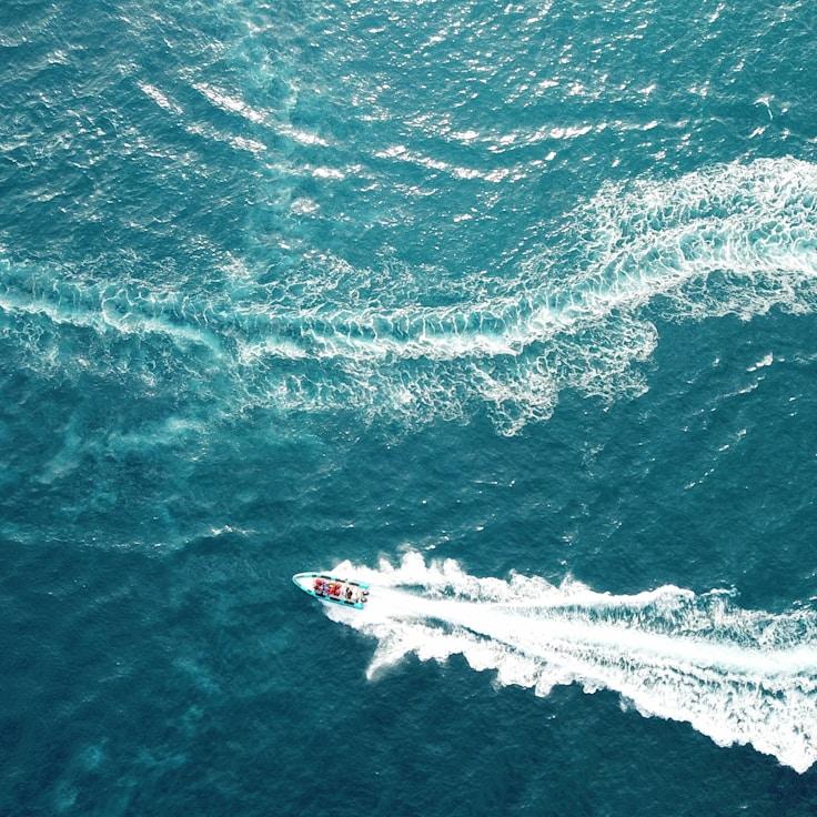 Marine adventure snapshot